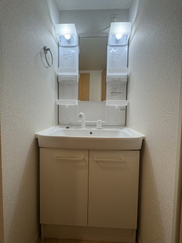 メゾン ド カルムⅢの洗面所