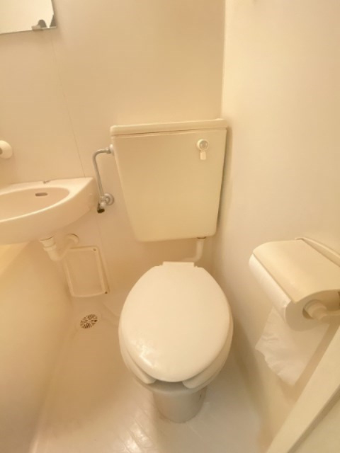 ロイヤルメゾン塚口XⅢのトイレ