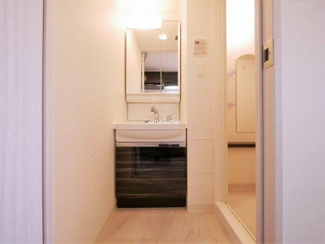 プレサンスOSAKA DOMECITY クロスティの洗面所