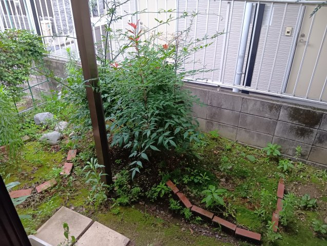 【庭】