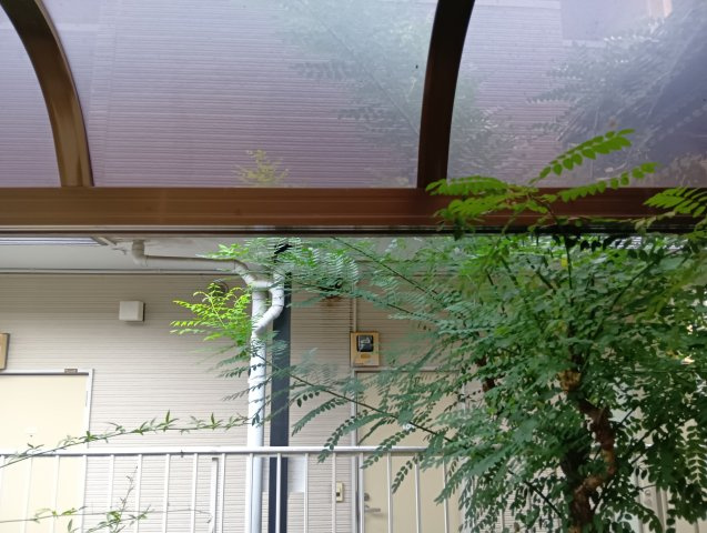 【展望】