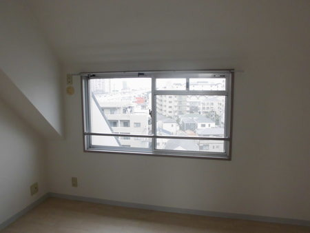 パレオーギの展望