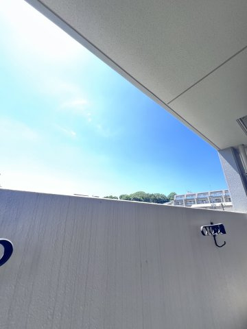 エンシェント山荘通りの展望