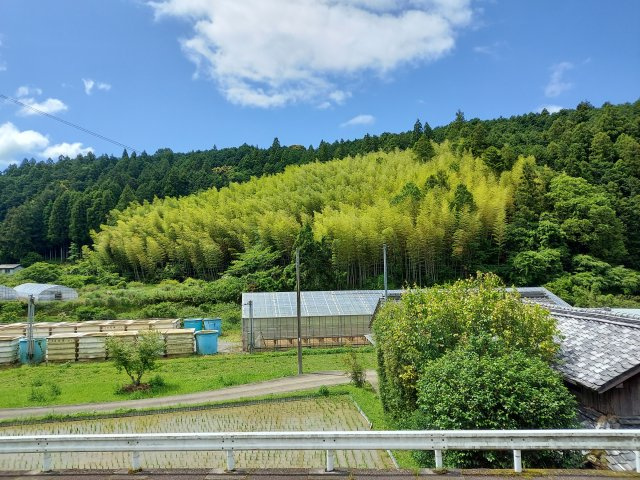 秋津川土地の周辺