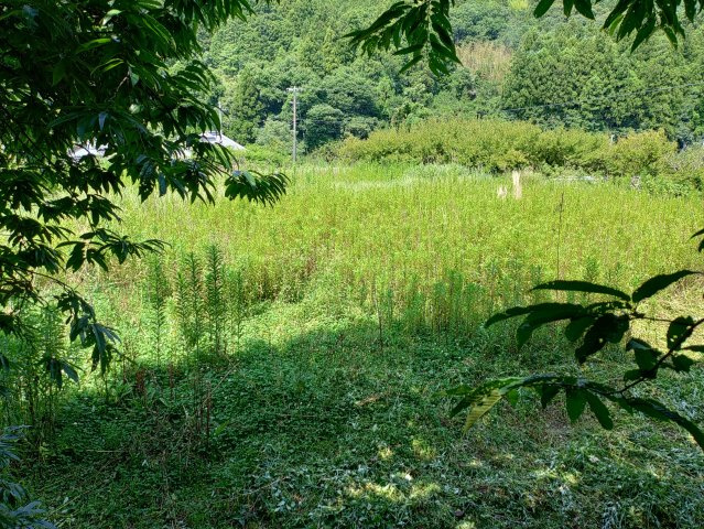 秋津川土地の外観パース
