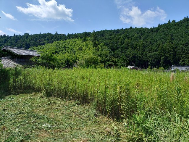 秋津川土地のその他