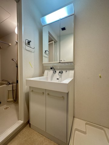 エスリード難波ステーションプラザの洗面所