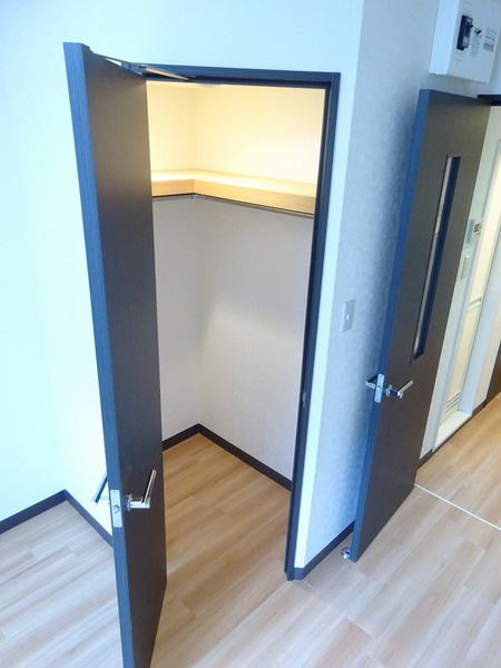アクシーズグランデ川口西Ⅲの収納|小物を収納するのに便利です