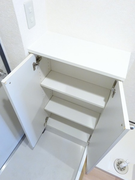 アクシーズグランデ川口西Ⅲの玄関|玄関です