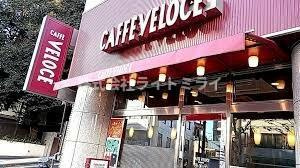 ザ・ステージ早稲田の周辺|カフェ・ベローチェ …まで491m