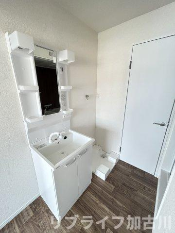 ドミール中津の洗面所