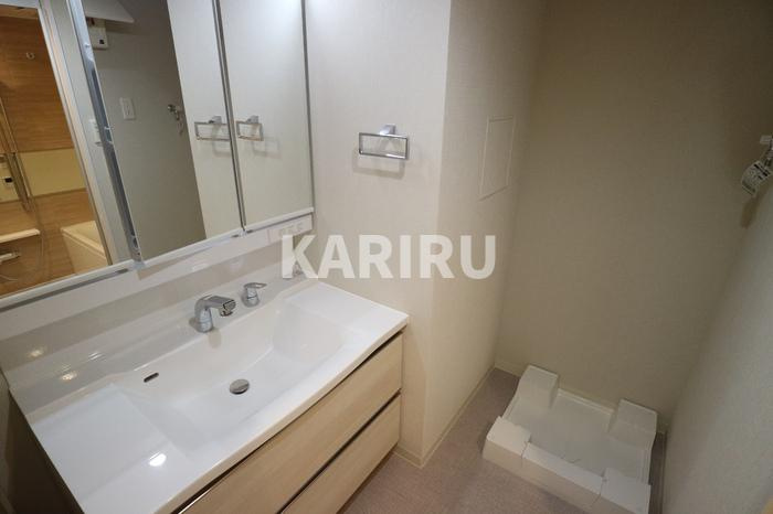 IBC　Residence　Eastの洗面所