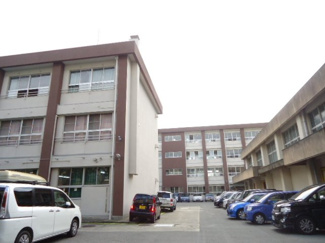 【周辺】 | ルミナス・ハイム | 和歌山市立西脇中学校まで1,419ｍ