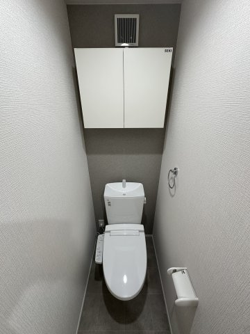 ラフィーネ生田Ⅱのトイレ
