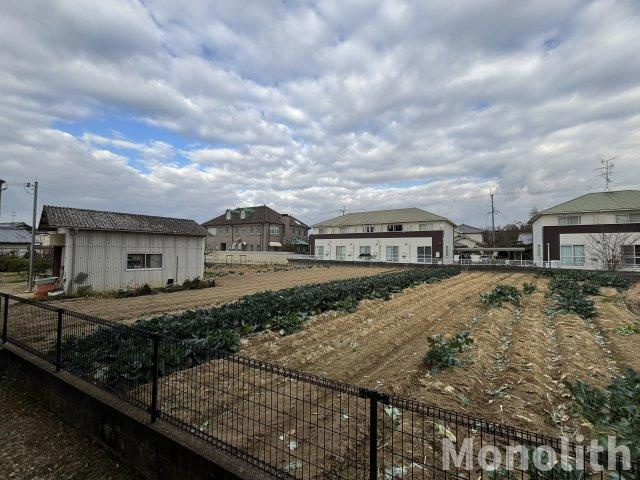 ルシヒサンコウの展望