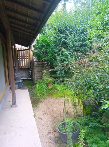 小山市犬塚1丁目中古住宅の庭