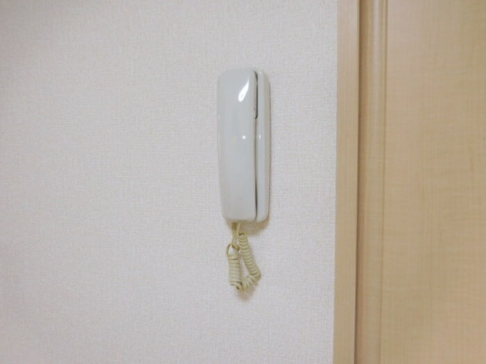 カーメルのセキュリティ
