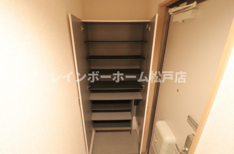 仲介手数料（賃料の1.10ヵ月）の50％OFF対象物件！の玄関|明るい玄関です