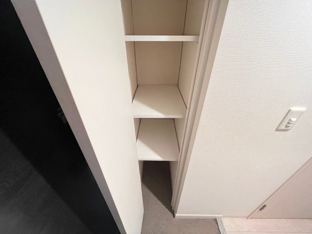 プレサンス難波ヴィータの収納