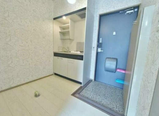 フローラ花俣の玄関