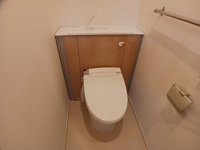 落ち着いた色調のトイレです