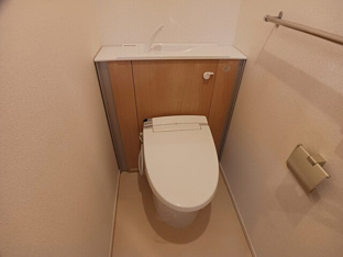 落ち着いた色調のトイレです