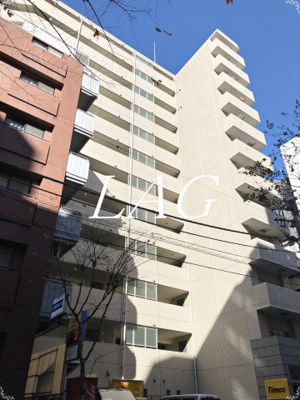 【外観】 | メゾン・ド・ヴィレ日本橋中洲 | 外観です。