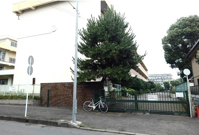 サンリットの周辺