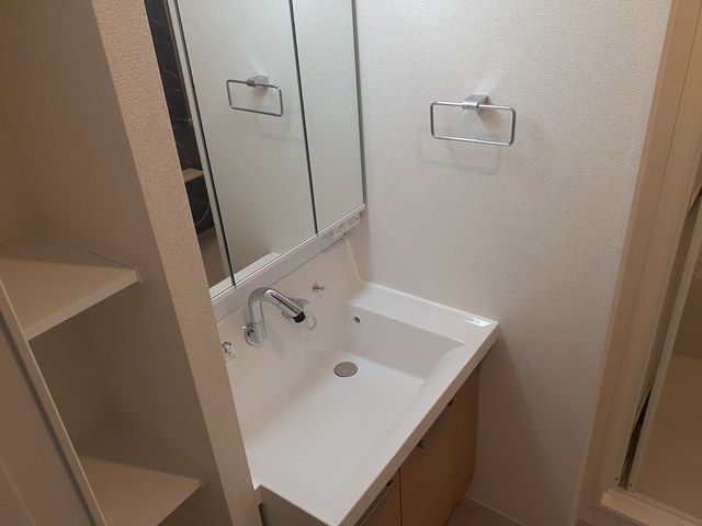 ドルフの洗面所