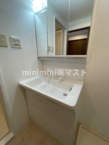 シャルマンフジリッツ谷町Ⅱ番館の洗面所