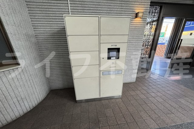 シロハイヌ今米のその他