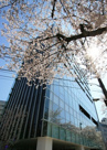 桜ヒルズ九段北の画像