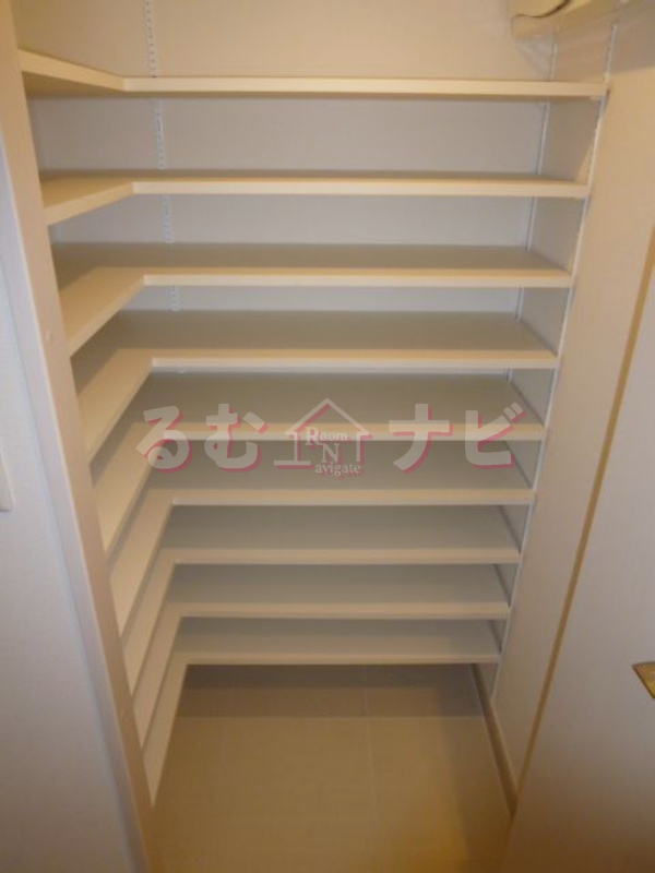福岡市南区大橋２丁目の賃貸マンションの収納