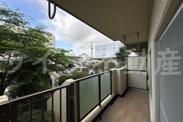 シロハイヌ今米の展望