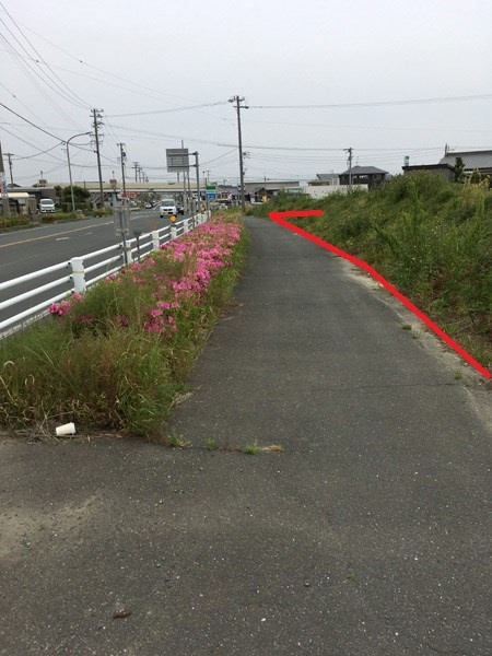 豊橋市野依町字井原53-1他の前面道路含む現地写真|前面道路含む現地写真