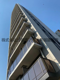 Ｌｏｕｉｓ　Ｃｏｕｒｔ　Ｋｉｔａｓｈｉｎａｇａｗａの画像