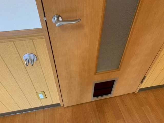 ハイツリベラのその他