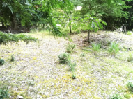 丹波篠山市藤坂売地の画像