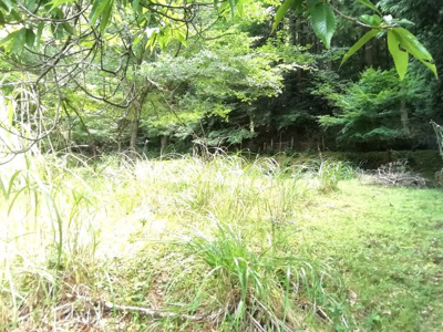 【外観】 | 丹波篠山市藤坂売地