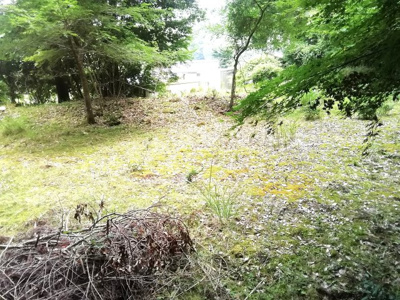 【外観】 | 丹波篠山市藤坂売地