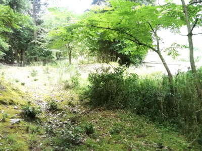 【外観】 | 丹波篠山市藤坂売地