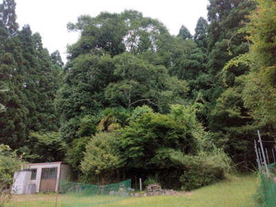 【外観】 | 丹波篠山市藤坂売地 | 進入路道路