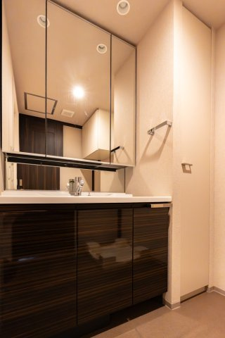 グランドメゾン新梅田タワーの洗面所