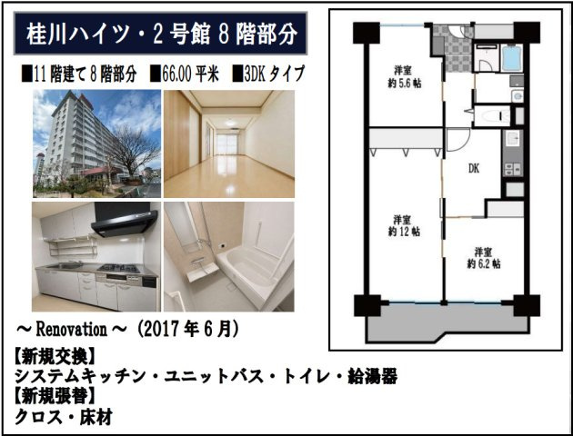 桂川ハイツ２号館の間取り