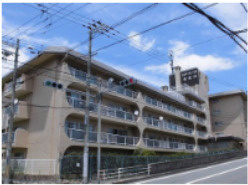 スターハイツ住吉川