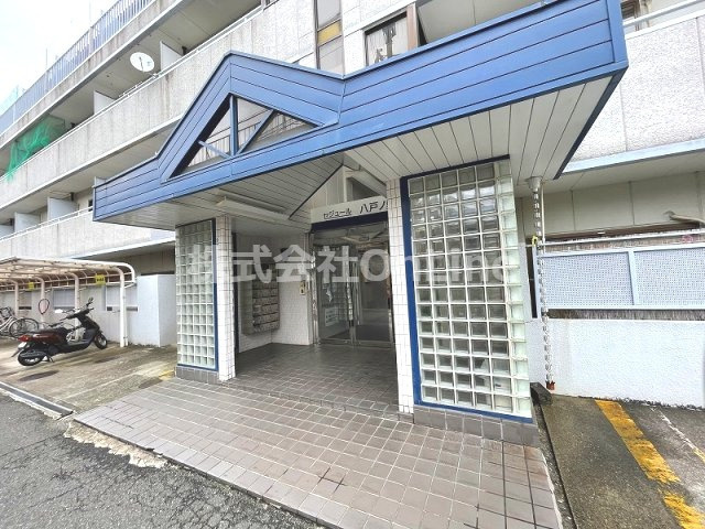 【エントランス】 | セジュール八戸ノ里 | エントランスです