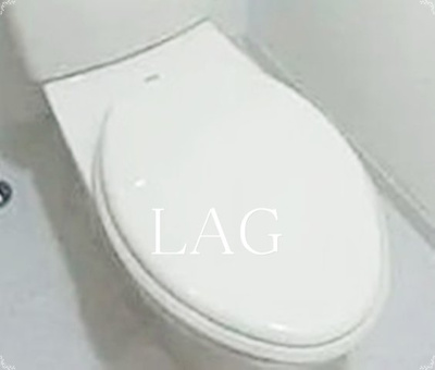 【トイレ】 | 菱和パレス文京南 | トイレです。