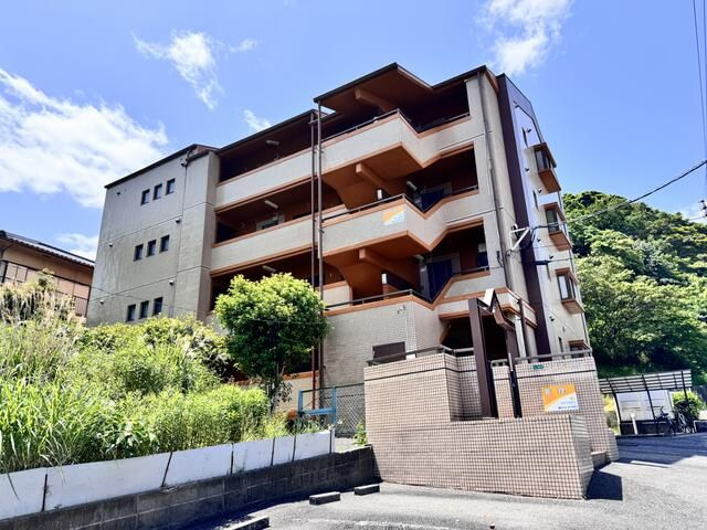 ヒルズ守恒