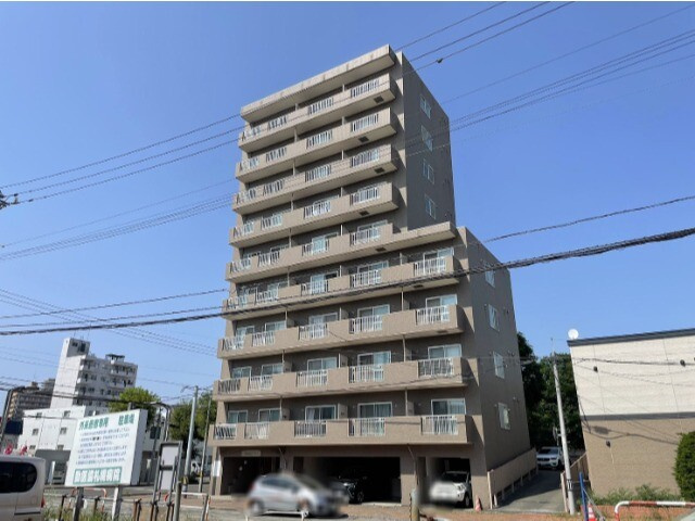 マッシモフェミニール菊水