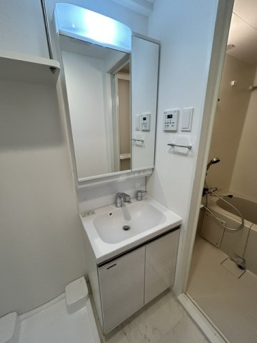 IW RESIDENCE大阪CREST TAPPの洗面所